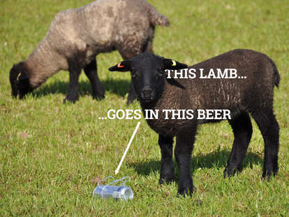 lamb and beer