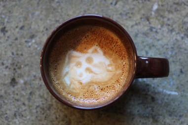 cat cafe