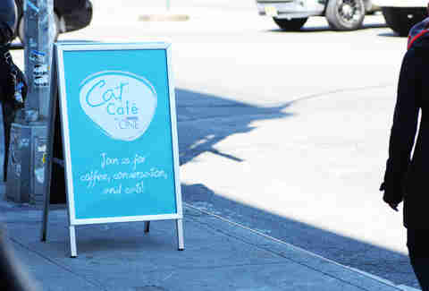 Cat Cafe NYC Pet Cats Adopt at Purina Cat Cafe 168 Cat Cafe NYC Pet Cats Adopt at Purina Cat Cafe 168