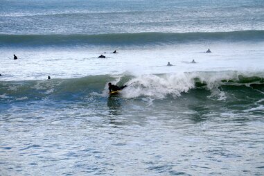 Annoying people you'll meet on San Diego beaches - Thrillist