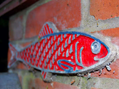 origins of red herring