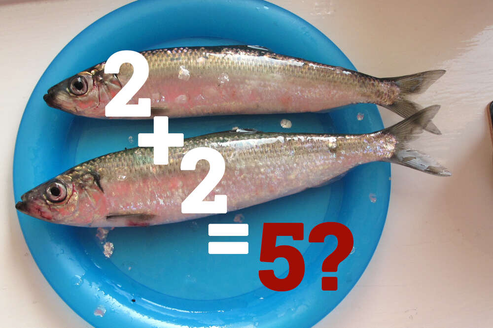 Red Herring Origin and Meaning in English Language - Idiom - Phrase - Fallacy and More - Thrillist Red Herring Origin and Meaning in English Language - Idiom - Phrase - Fallacy and More - Thrillist