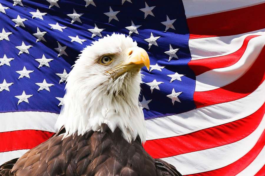 11 reasons why America is the land of the free: Things America can do ...