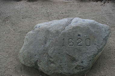 plymouth rock