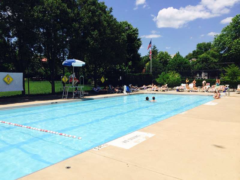 Volta Pool A Other in Washington, D.C. Thrillist