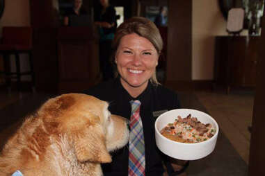 dog looking at gumbo