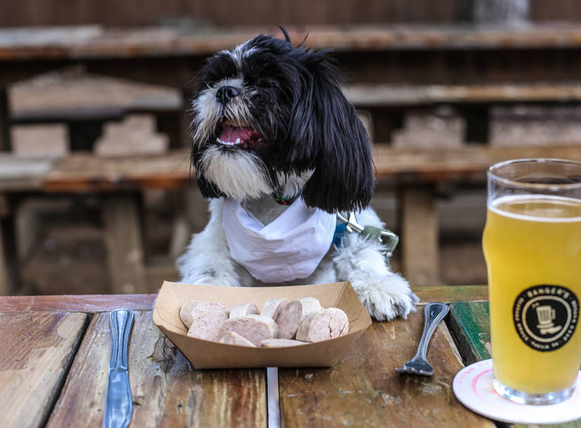 Dog Friendly Restaurants Menus For Dogs Thrillist