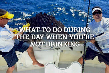 What to do during the day if you're not drinking 