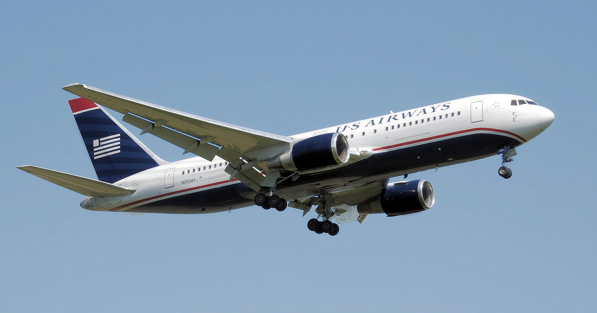 Dog Poops All Over Plane, Forces Emergency Landing Thrillist
