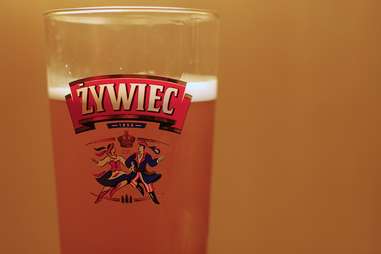 zywiec poland beer