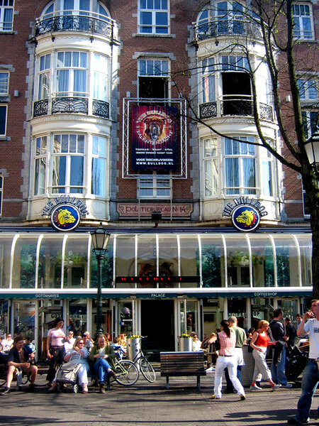 The Bulldog The First: A Bar in Amsterdam, Noord-Holland - Thrillist