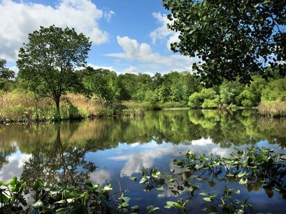 Van Cortlandt Park: A Other in Bronx, NY - Thrillist