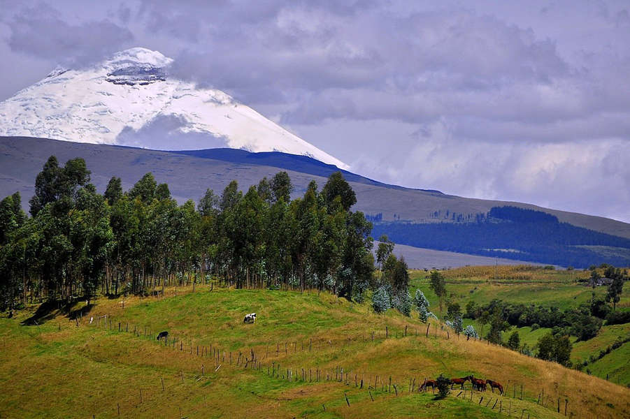 Ecuador Travel - 8 Reasons You Need to Visit Ecuador Right Now - Thrillist