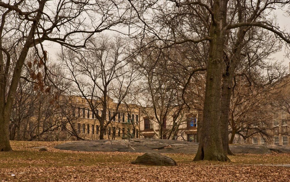 Crotona Park A New York, NY Venue.
