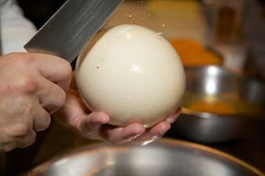 Cracking open an Ostrich Egg was quite an experience! Look at the size  difference compared to a chicken egg. It took longer than I thought…