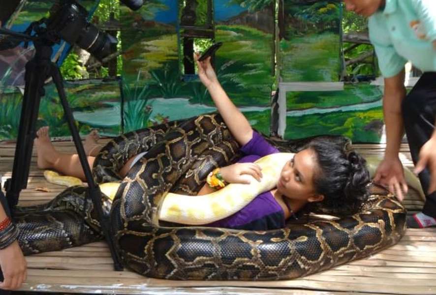 Python massage: Cebu City zoo offers deadly snake therapy - Thrillist