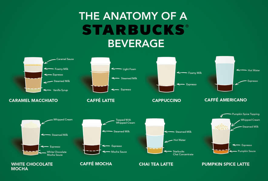 Anatomy Of Starbucks Beverage Inforgraphic Breaks Down Pumpkin Spice Latte Cappuccinos And More Thrillist