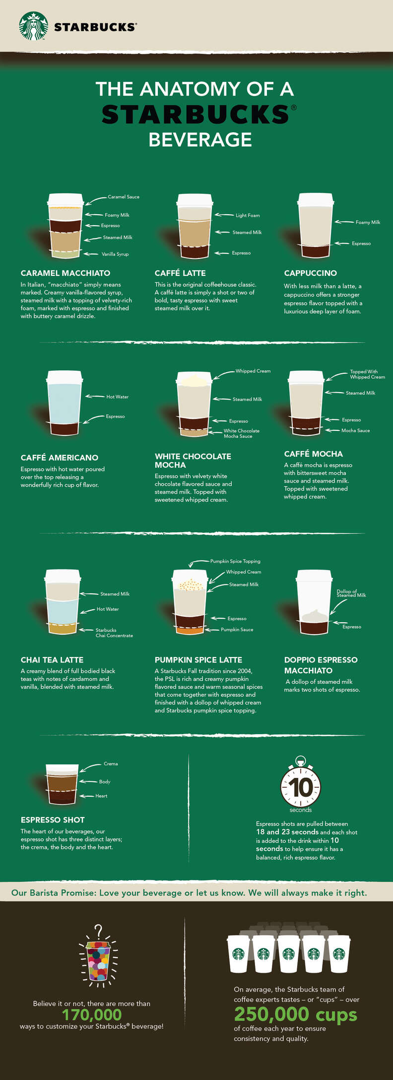 Anatomy of a Starbucks Beverage infographic