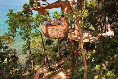 Treehouse restaurant deals