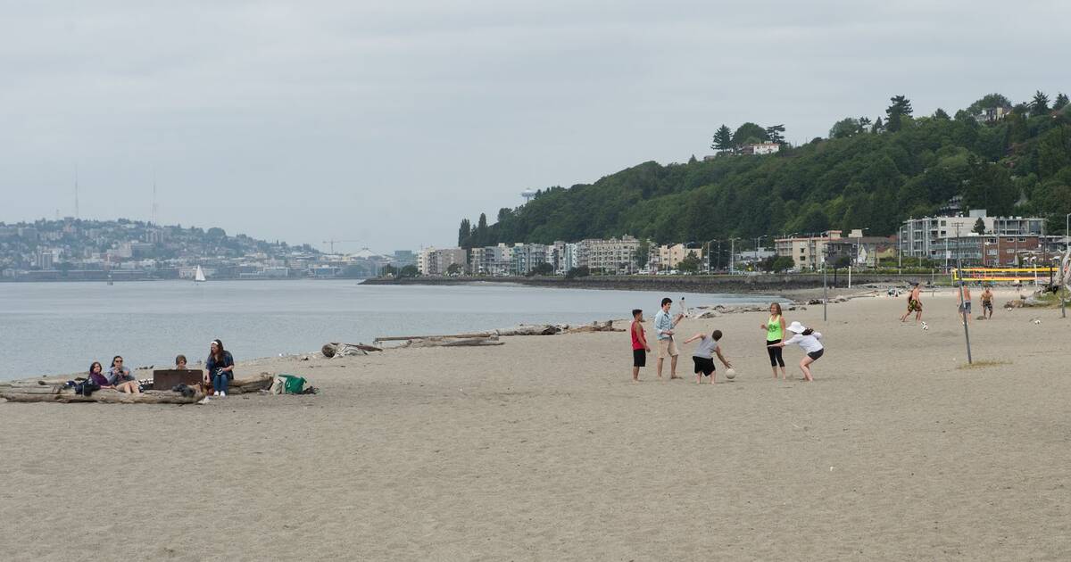 is alki beach dog friendly