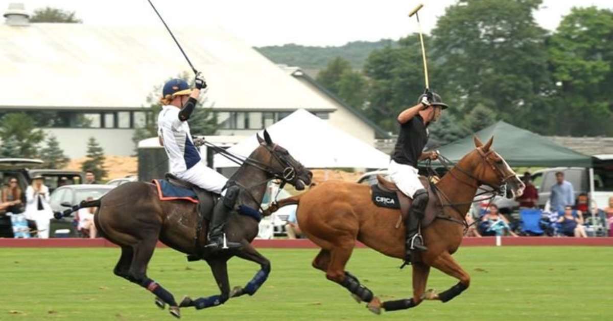 Bridgehampton Polo: A Bar in Watermill, NY - Thrillist