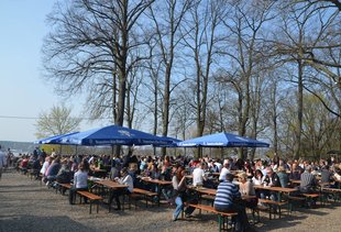 Berlin's 8 best beer gardens