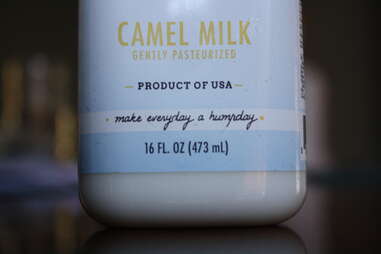 Thrillist drank camel milk so you didn't have to