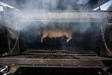 hog smoking