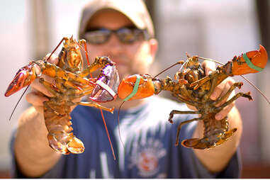 Enjoying the hell out of some lobster