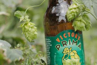 Victory Prima Pils Summer Beer Picks DET
