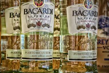 bacardi