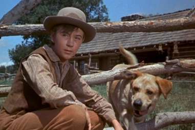 Old Yeller Best Fictional Characters HOU