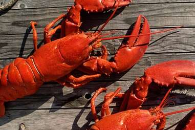 Best La Lobster Rolls Cousins Maine Lobster Bp Oysterette And More Thrillist [ 254 x 381 Pixel ]