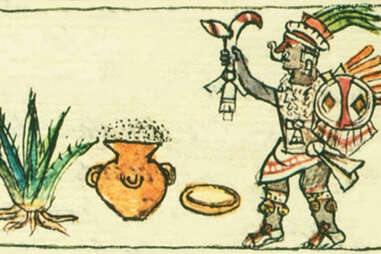 Mayahuel