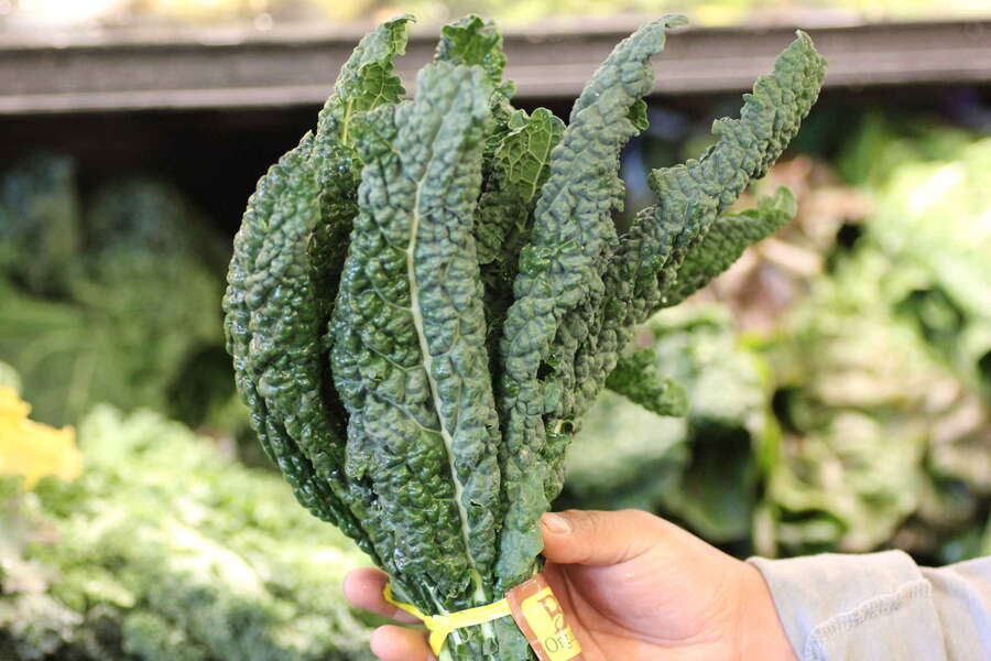 Kale Shortage Bejo Seeds Runs Out of Supply, Australian Farmers