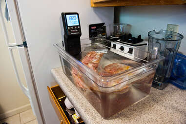 sous vide immersion circulator steak