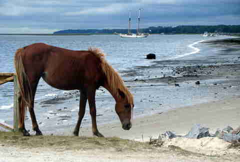Beach Drinking Best Public Beaches To Legally Drink On