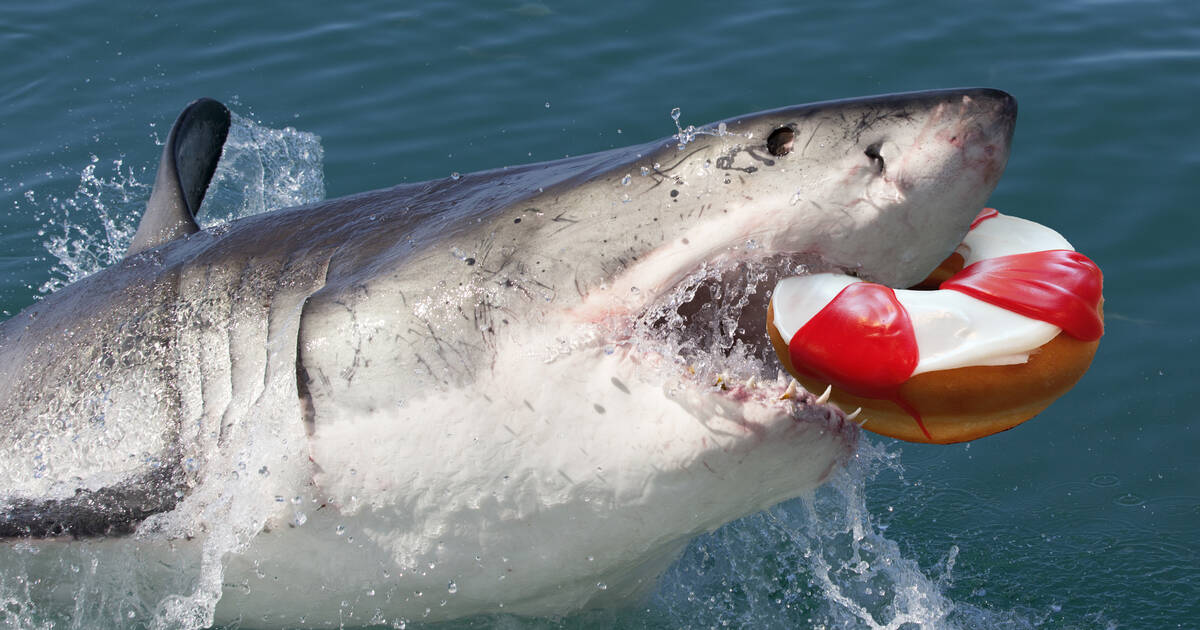 Sharks FIGHT over a deal with Ice Cream Canteen🔥💸 #sharktank #entrep, Shark  tank