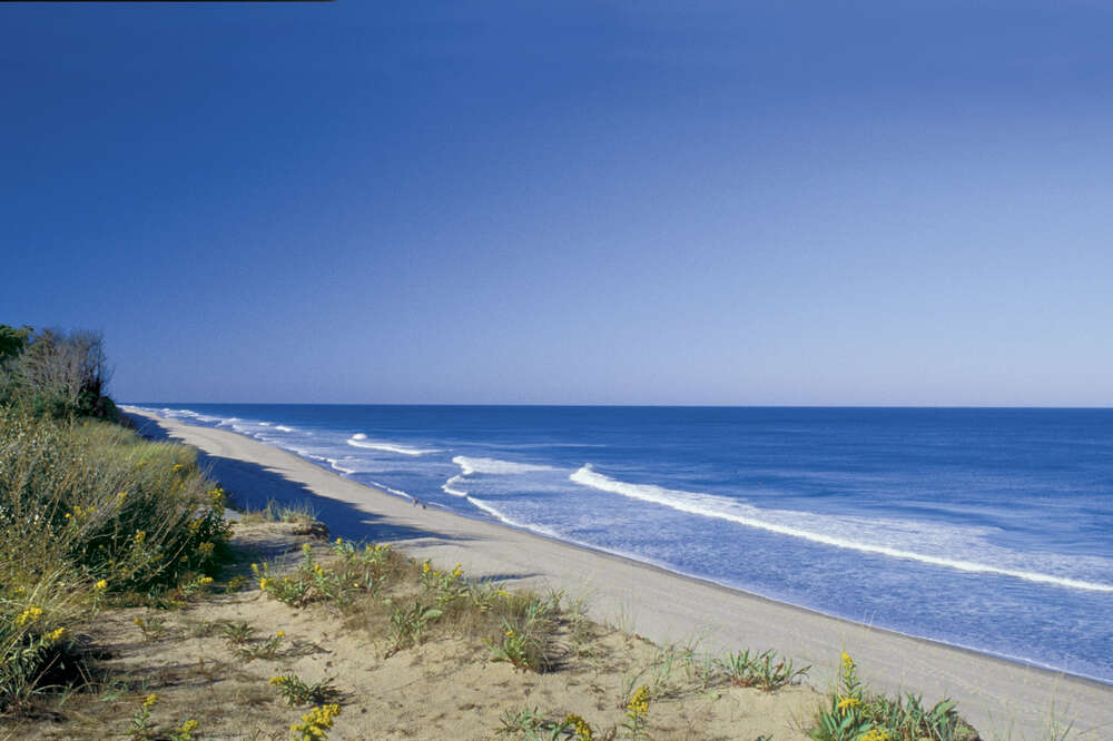 Beach Drinking - Best Public Beaches to Legally Drink on in the US - Thrillist Beach Drinking - Best Public Beaches To Legally Drink On In The Us - Thrillist
