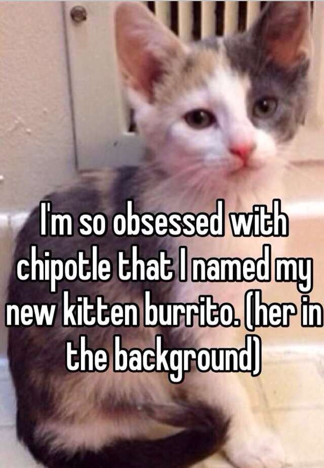 Whisper confession Chipotle kitten