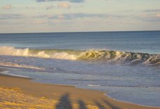 The 5 best Hamptons beaches, ranked