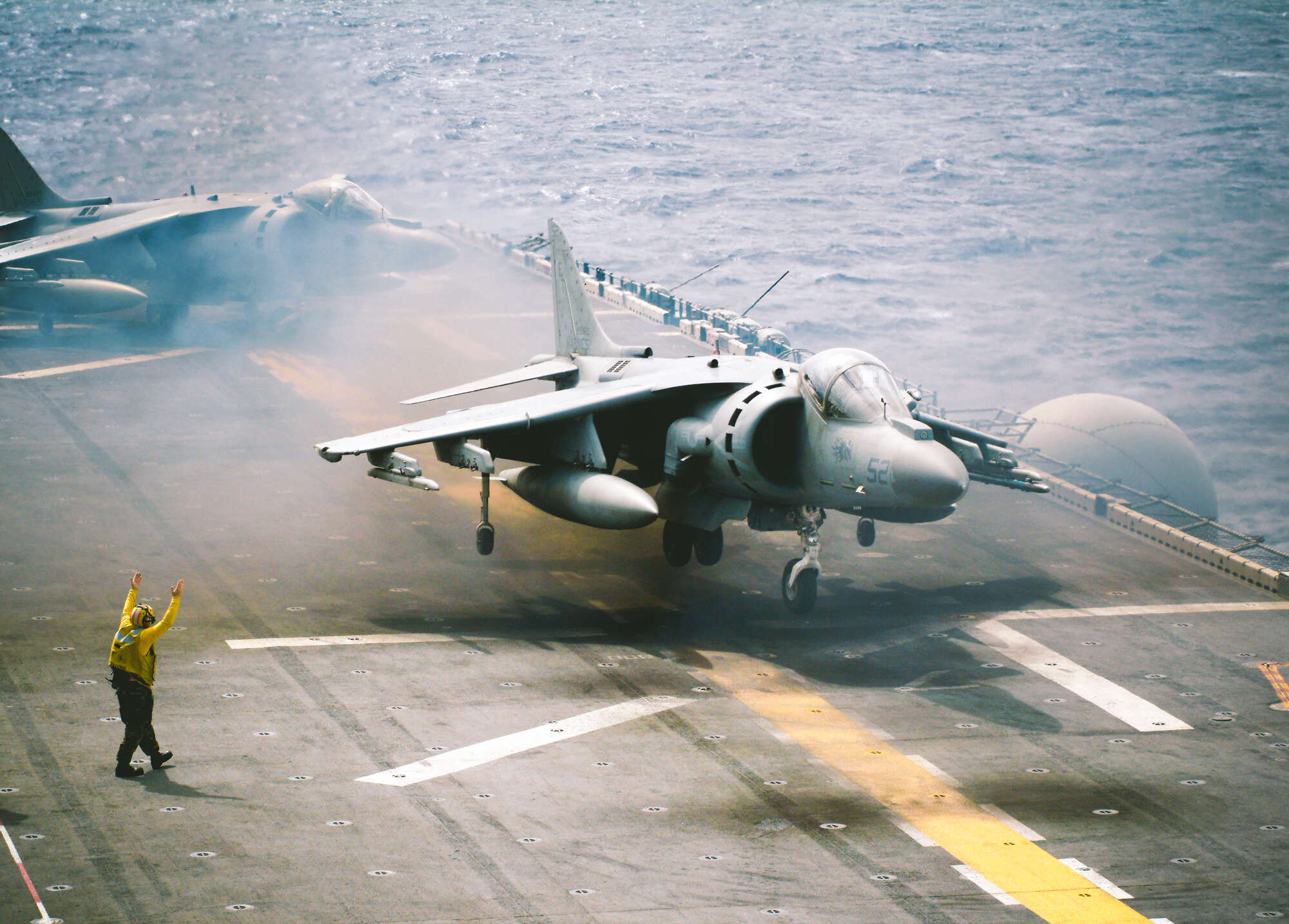 How Much Does A Harrier Cost