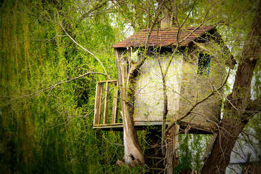 Treehouse