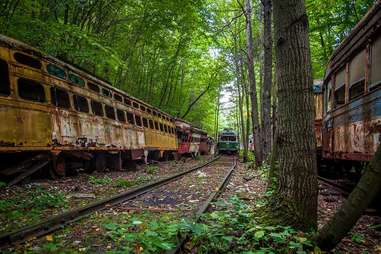 trains forest