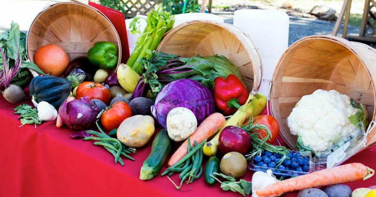 Brew at The Zoo - Things to Do in Denver This Weekend - September 11-14