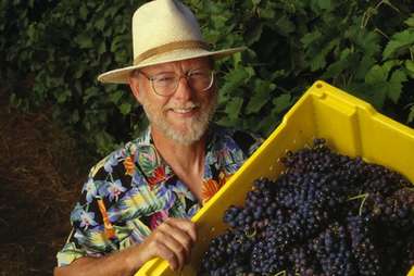 wine grapes