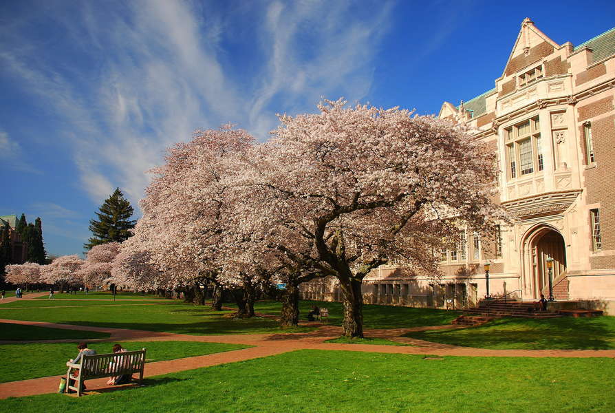 The 25 Most Beautiful College Campuses in America Thrillist