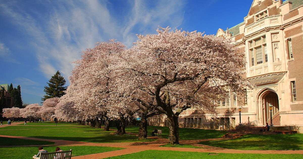 Best College Campuses