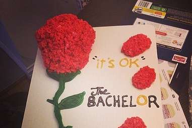 Bachelor