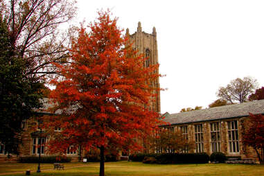 Fall